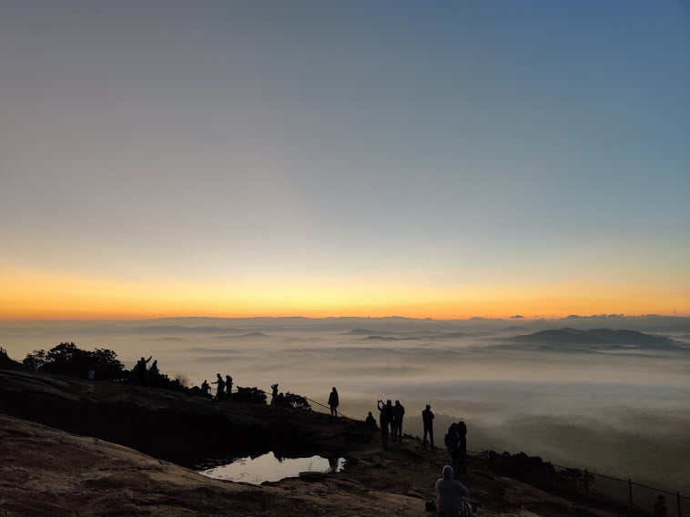 Narasimha Parvatha Rainforest Trek - Muddie Trails